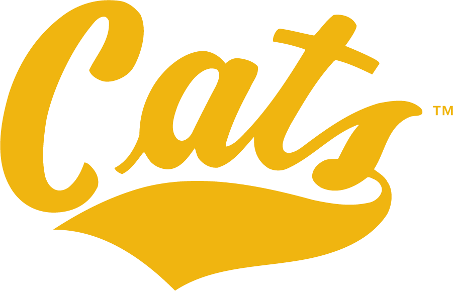 Montana State Bobcats 1995-2004 Wordmark Logo t shirts iron on transfers